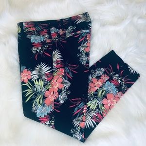 Cache Tropical Capri Pant